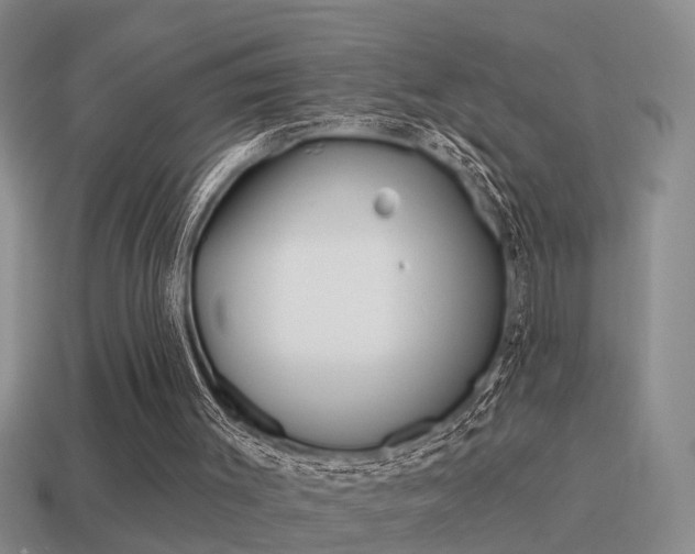 X0000115590003200911100941