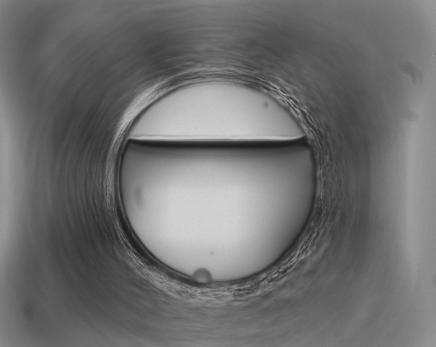 X0000115590004200911100941