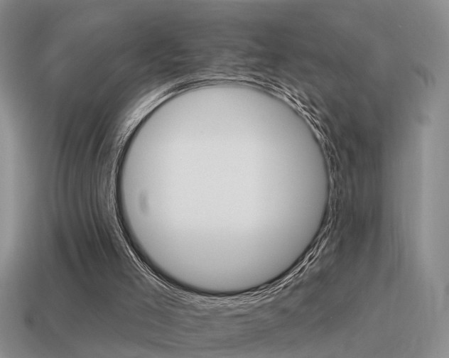 X0000115590005200911100941