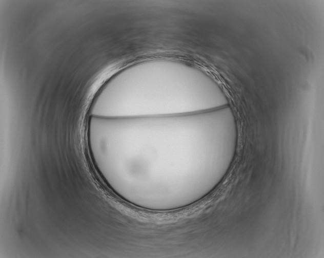 X0000115590006200911100941