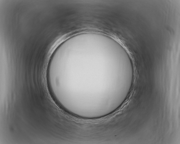 X0000115590007200911100941