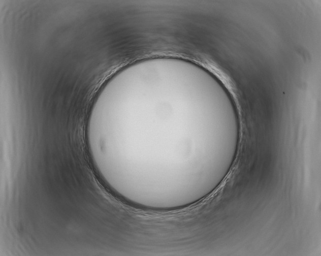 X0000115590009200911100941