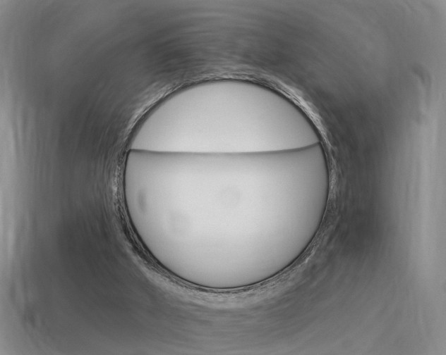 X0000115590010200911100941