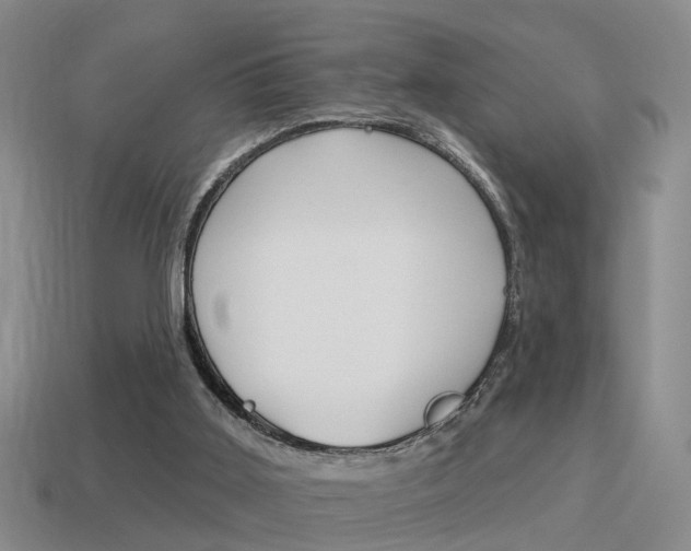 X0000115590011200911100940