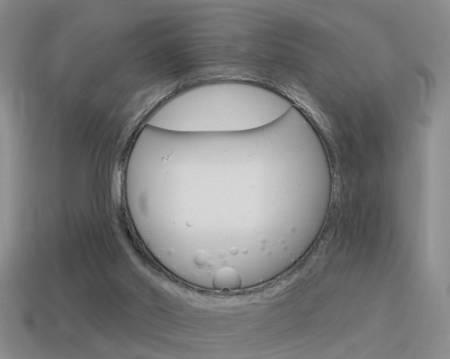 X0000115590014200911100940