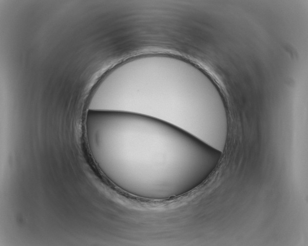 X0000115590015200911100940