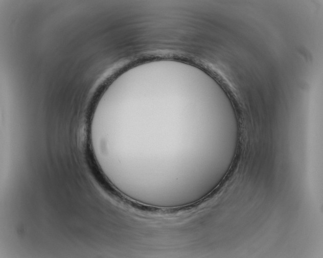 X0000115590016200911100940