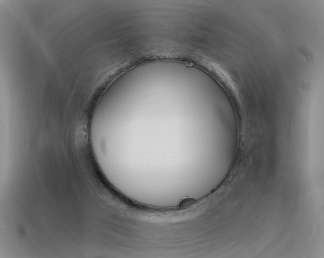 X0000115590017200911100940