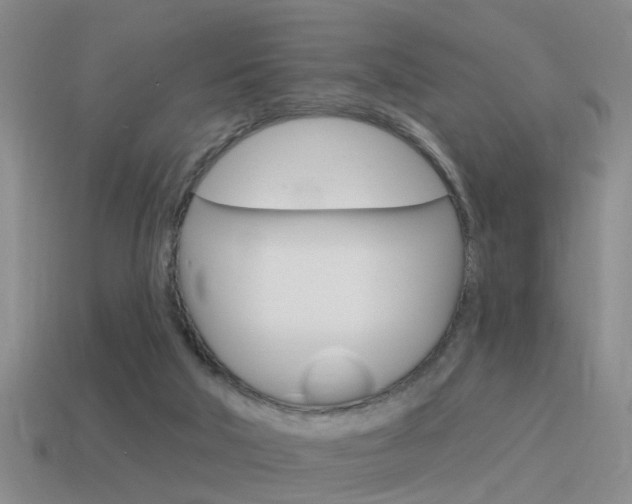 X0000115590018200911100940