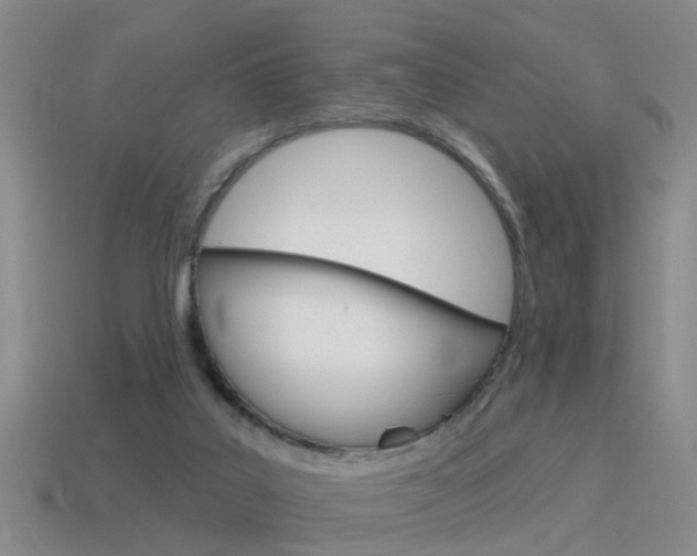 X0000115590019200911100940