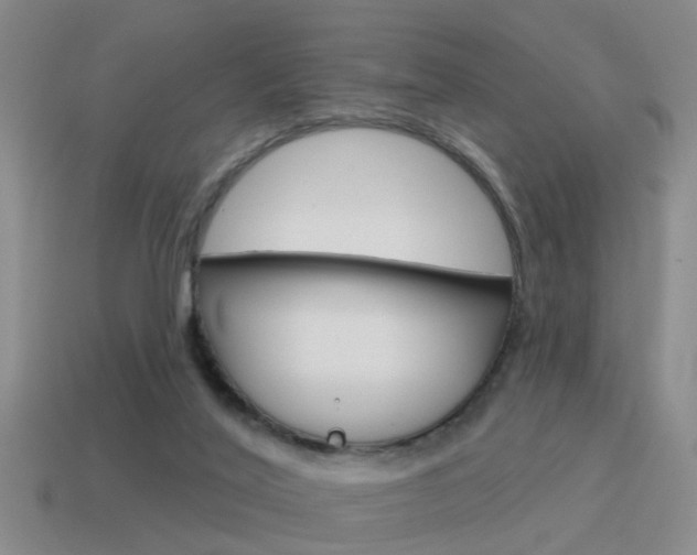 X0000115590020200911100940