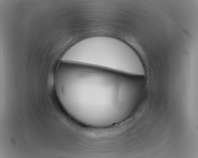 X0000115590021200911100940