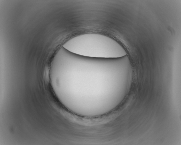 X0000115590022200911100940