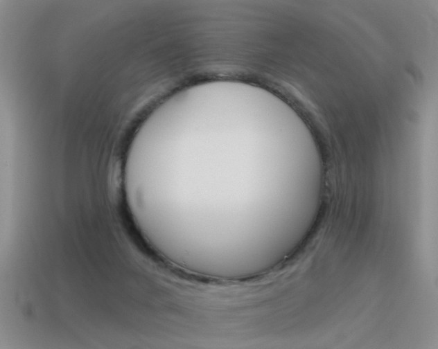 X0000115590024200911100940