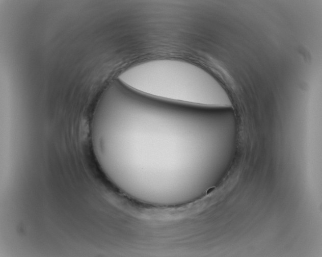 X0000115590025200911100940