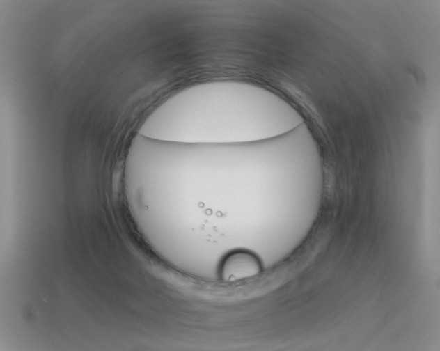 X0000115590026200911100940