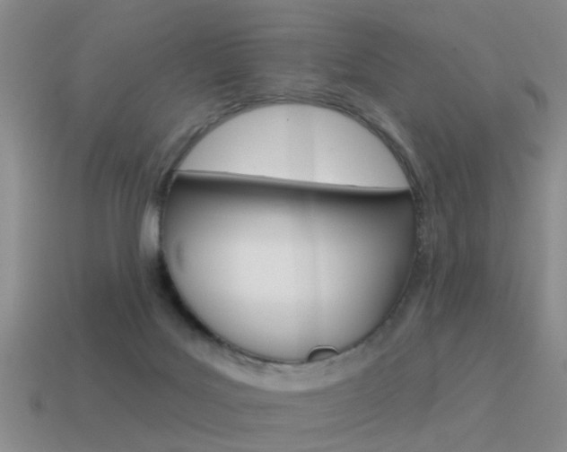 X0000115590027200911100940