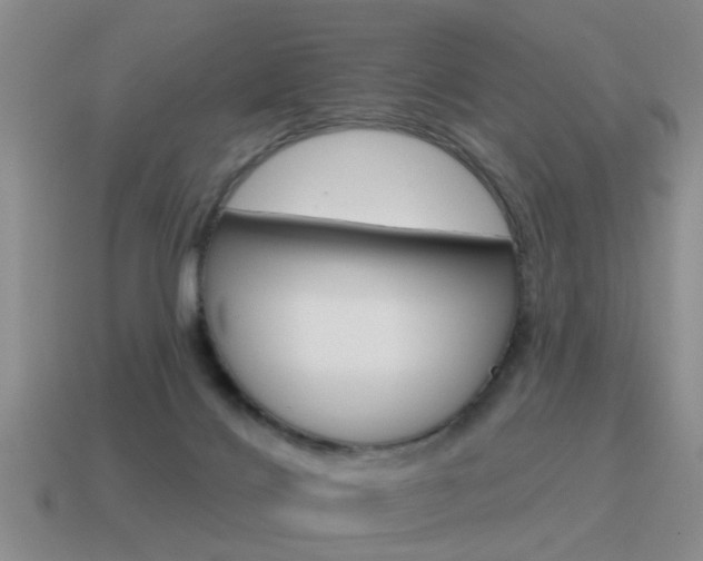 X0000115590028200911100940