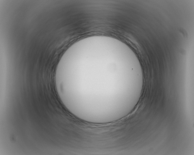 X0000115590029200911100940