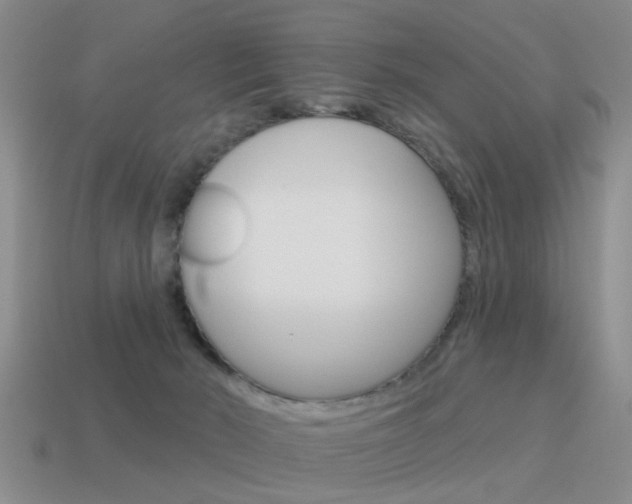 X0000115590030200911100940