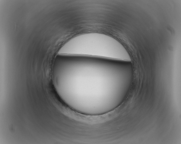 X0000115590031200911100940