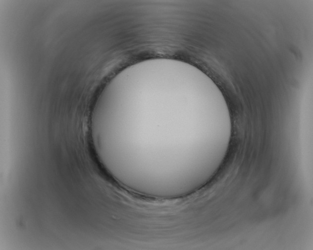 X0000115590032200911100940