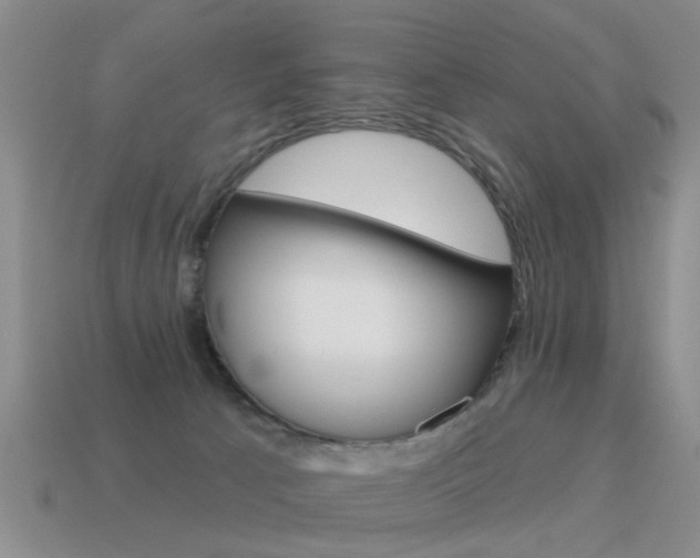 X0000115590033200911100940