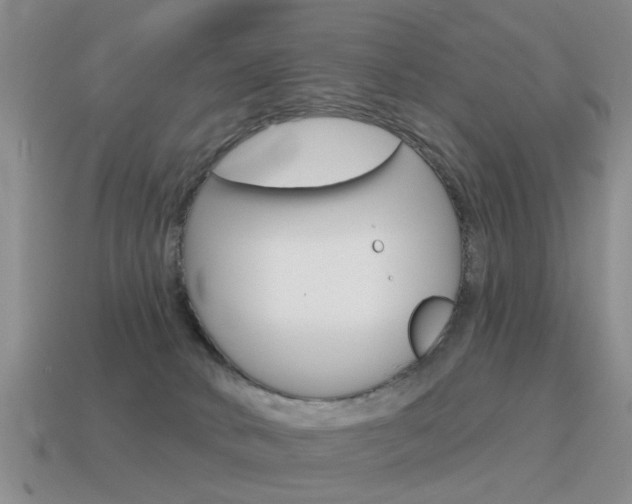 X0000115590034200911100940