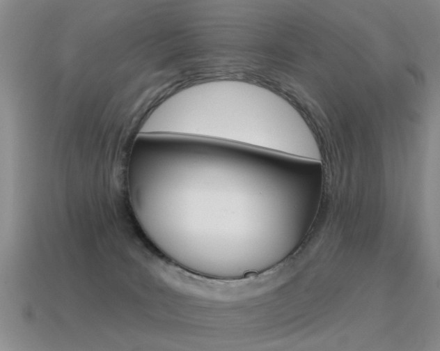 X0000115590035200911100940