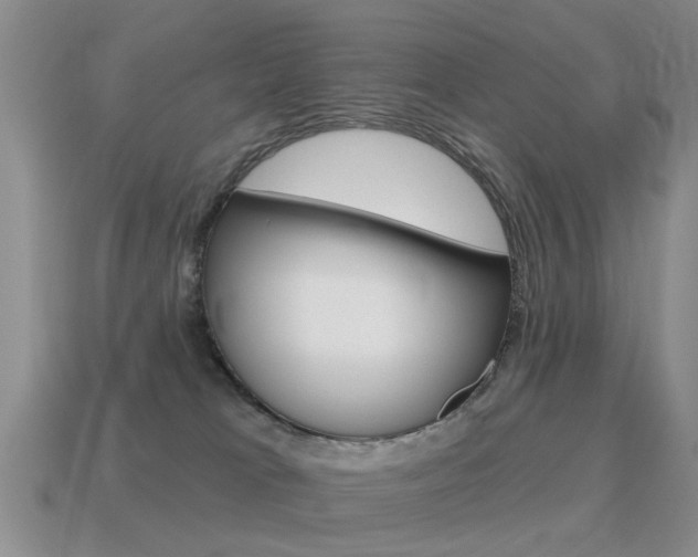 X0000115590037200911100940