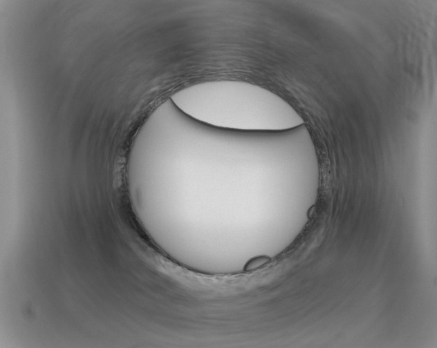 X0000115590038200911100940