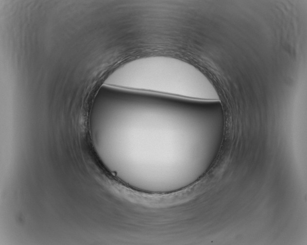 X0000115590039200911100940