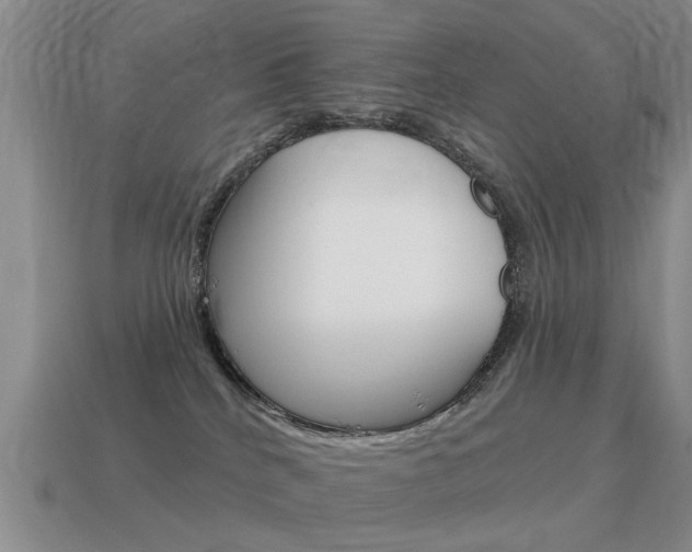 X0000115590040200911100940