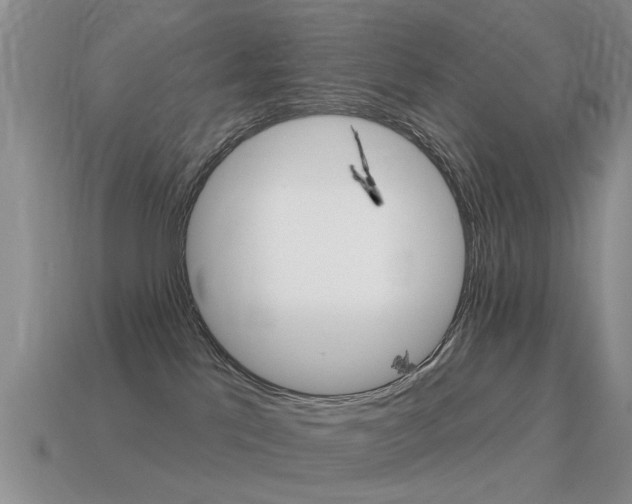 X0000115590041200911100940