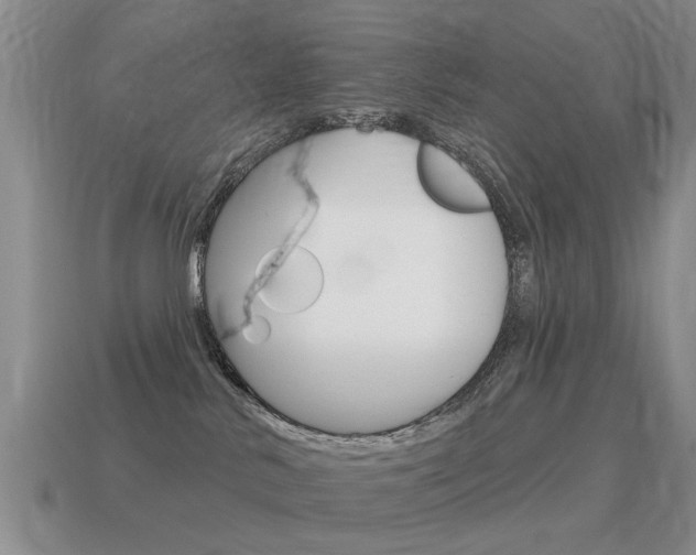 X0000115590042200911100940