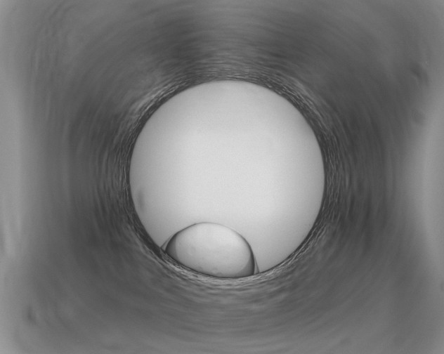 X0000115590043200911100940