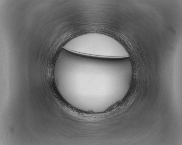 X0000115590044200911100940