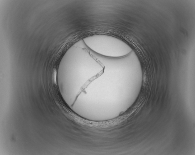 X0000115590046200911100940