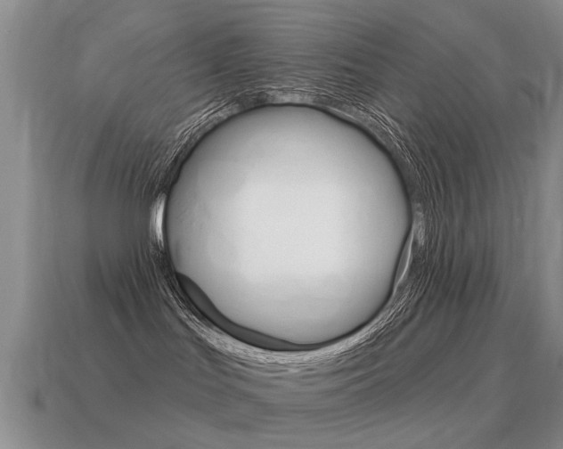 X0000115590047200911100940