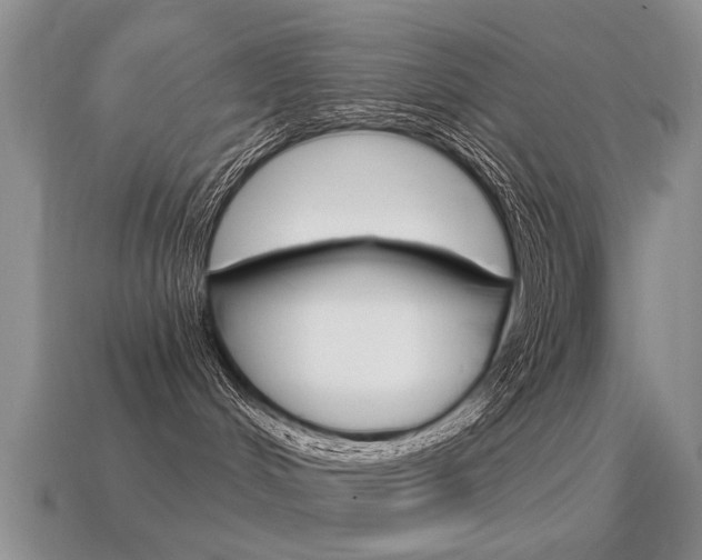 X0000115590048200911100940