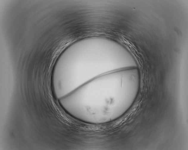 X0000115590049200911100939