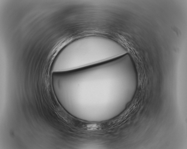 X0000115590050200911100939