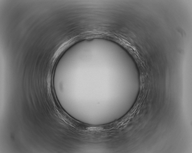 X0000115590051200911100939