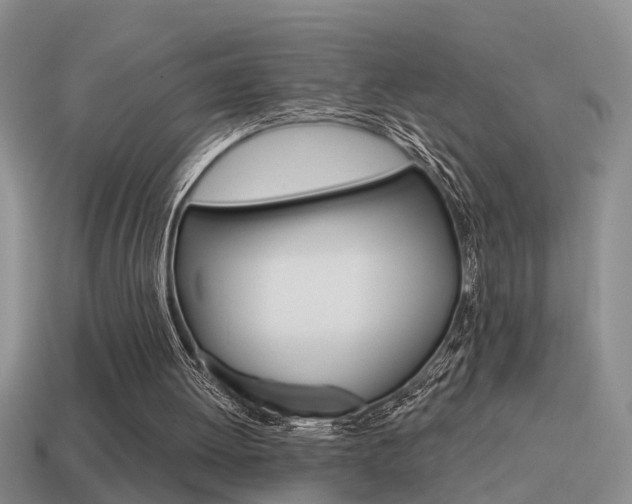 X0000115590052200911100939