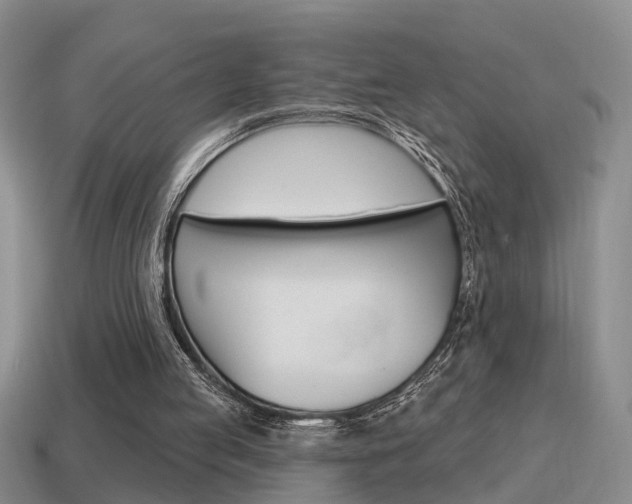 X0000115590053200911100939