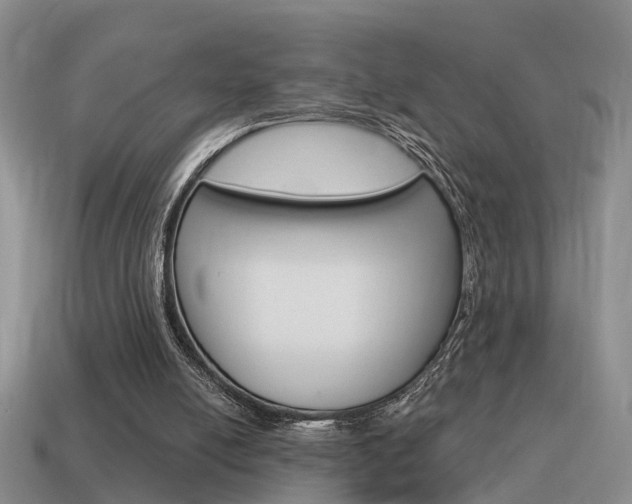 X0000115590054200911100939