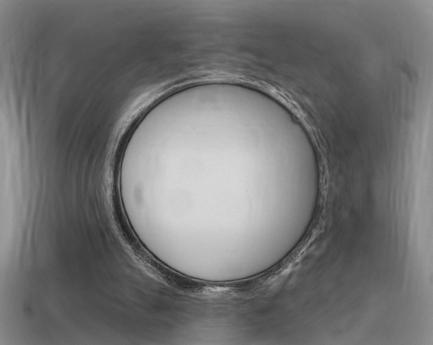 X0000115590055200911100939