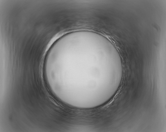 X0000115590056200911100939