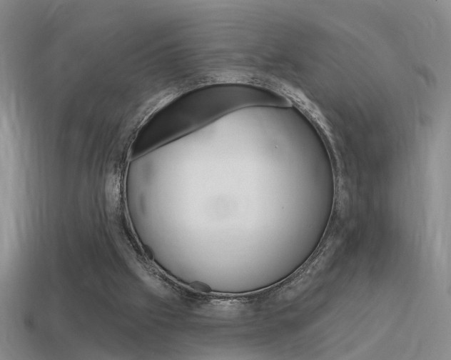 X0000115590057200911100939