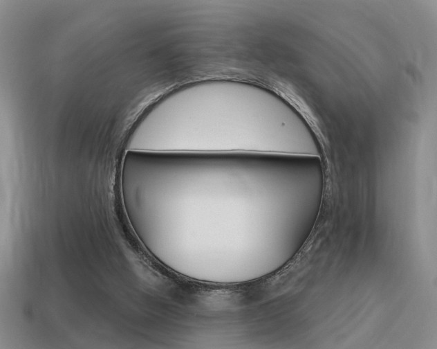 X0000115590058200911100939